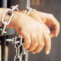 الزعبي اول اردني تفرج عنه السلطات السورية