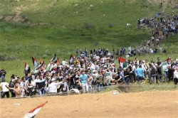 استشهاد أردني في الجولان برصاص الاحتلال الإسرائيلي