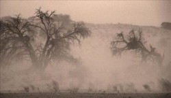 حالة من عدم الاستقرار الجوي وعاصفة رملية تؤثر على المملكة الثلاثاء