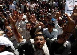 الطلبة الأردنيون في اليمن يناشـدون الجهات المعنية الإسراع بحل مـشكلتهم