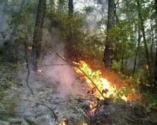 جرش : السيطرة على حريق شب في 50 دونما من الاعشاب الجافة