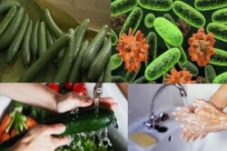 ظهور أول حالة “إيكولاى ” فى مصر