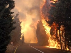 حريق هائل يلتهم 100 دونم في برقش