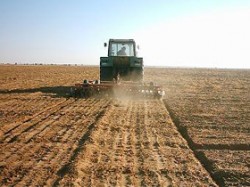 حكومة الحراثين (لا خبز ولا طحين)