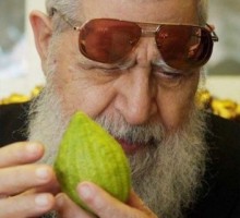 عوفاديا يوسف يدعو للحرب مع الاردن