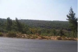 الفحوصات المخبرية تؤكد سلامة مياه الشرب في جديتا