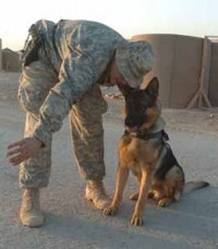 العراق: فساد بمليون دولار في صفقة كلاب