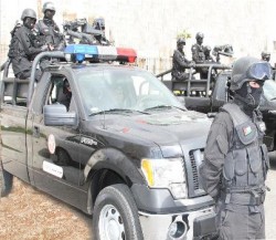 الأمن والدرك يداهمان أم البساتين