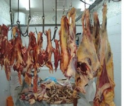 ضـبط 260 كيـلوغـرامـا مـن الـلـحـوم غـيـر الـصـالـحـة للاسـتـهـلاك البشـري فـي اربد