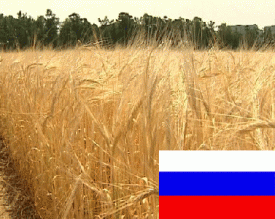 الحباشنة يصدر قرارات عبثية...ويكرر التجربة السودانية الفاشلة في روسيا