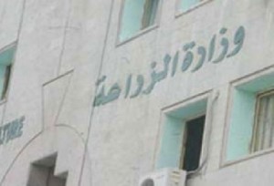 الزراعة تجرى هيكلة موسعة وتفصل الإرشاد الزراعي عن البحوث