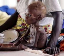 الحملة الأردنية لإنقاذ الصومال تبدأ استقبال التبرعات