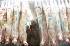 "الزراعة" تلزم المستوردين للمواشي من اثيوبيا بذبحها في المسالخ المعتمدة.