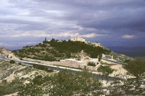 وفاة سبعينية دهسا في مأدبا