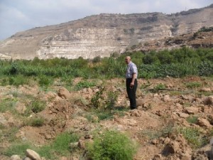 سلطة وادي الاردن تعتدي على اراضي زراعية في لواء بني كنانة وتقلع 2000 شجرة