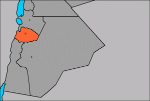 أعمال شغب تنهي مهرجان أحرار الطفيلة