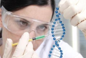 دراسة يابانية:عمان جينيا تطابق بلاد الشام والسكان الأصليين هم أهل الأغوار وأجدادهم من الكاميرون