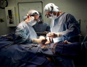 تاجر اعضاء بشرية أردني سجن 3 أشهر فانتقم !