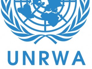 موظفون بالاونروا يعتصمون احتجاجا على استهداف أمنهم الوظيفي