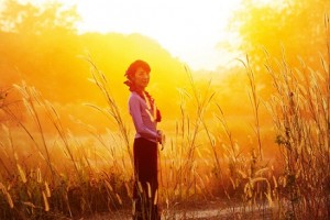 مهرجان الدوحة ترايبكا السينمائي يعلن عن قائمة الأفلام العالمية المعاصرة