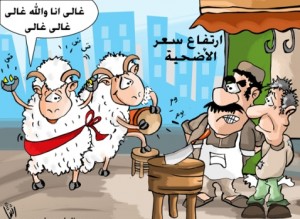 270 - 300 دينار أسعار الأضاحي المتوقعة في العيد