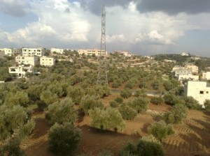 احتجاجات واغلاقات للشوارع في بدرة الجديدة والجيزة