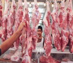 توقعات بارتفاع اسعار اللحم البلدي ومطالبة بوقف تصدير المواشي