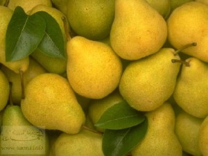 رفض «الزراعة» إدخال شحنة إجاص لبنانية تسبب لصاحبها بجلطة