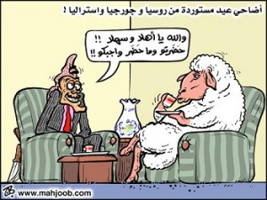 أمانة عمان تضع تعليمات للأضاحي ومواقعها