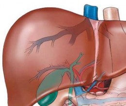 الصحة تنفي انتشار وباء الكبد الوبائي في الكرك