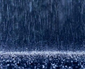 الأرصاد: أمطار غزيرة مصحوبة بالرعد السبت