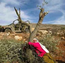 البيان الإماراتية : إسرائيل تبتلع أراضي في وادي الأردن