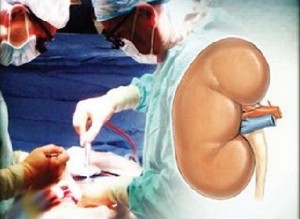 أهالي شاب في اربد يتبرعون بأعضائه