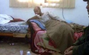 السودان لعب دورا فى القبض على سيف الإسلام