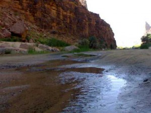 الحكومة تعيد النظر باستملاكات متنفذين لأراض بالجنوب