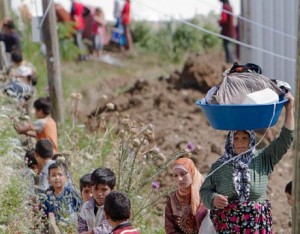 المفوضية العليا: 1500 لاجئ سوري في الأردن