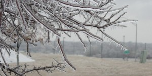 الأرصاد الجوية تحذر المزارعين من خطر الصقيع