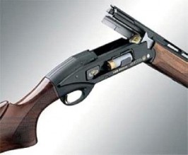 معان : اعتداء مزدوج على زنزانة تنقل مطلوبا للمحاكمة