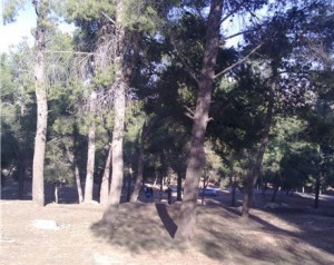 فتاة تسرق مئات الالاف من عربي بمتنزه عمان القومي