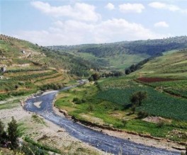 العثور على جثة لمجهول في سيل الزرقاء