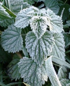 منخفض جوي الأحد وتحذير من تشكل الصقيع ..