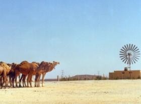 الأردن يهدف لزيادة مساهمة الطاقة المتجددة لتبلغ 10 % بحلول العام 2020