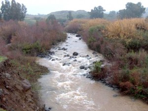 شركة إسرائيلية تهدد بضخ المياه العادمة لنهر الأردن