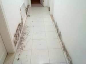 بالصور: اخطاء في اساسات البناء لشقق سكن كريم بالزرقاء.. وقاطنوها يلجئون للقضاء