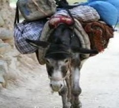 ضبط 5 شوالات مواد مخدرة محملة على «بهائم» بالبادية