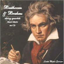 رسالة لبيتهوفن تكشف عن حاجته إلى ممولين