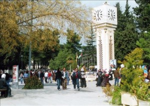 أساتذة جامعات : إنشاء نقابة حق دستوري ومطلب شرعي