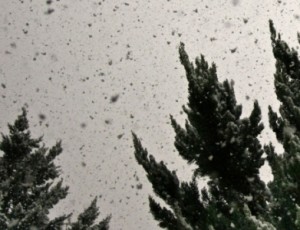 أمطار ممزوجة بالثلج في عمّان واشتداد تأثير المنخفض القطبي