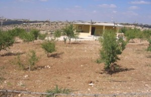 وفاة طفل وتسمم 3 شربوا من مياه زراعية بالمفرق