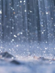 طقس بارد وامطار خفيفة الاثنين